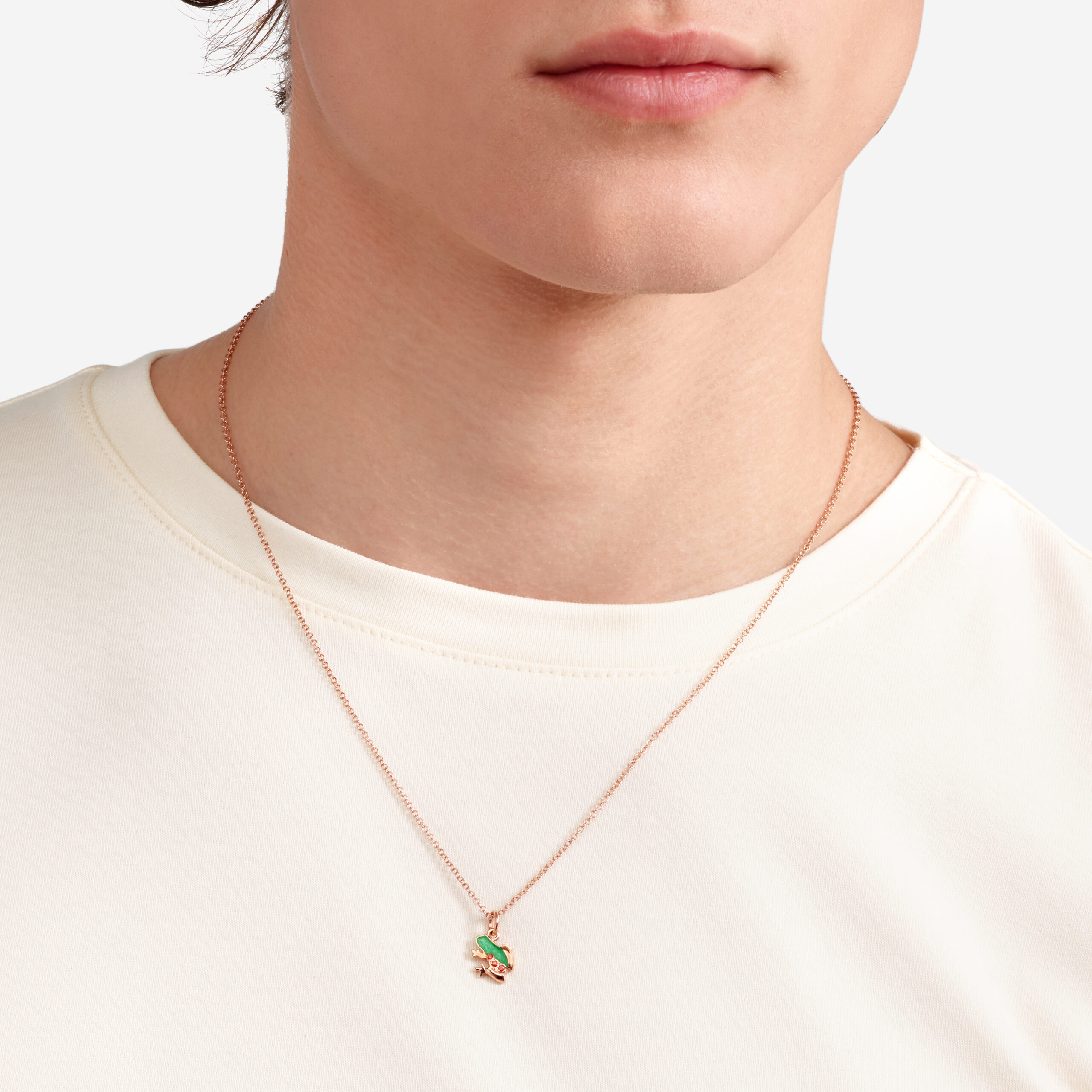 DMC5004_FROGX_VZO9R_100.jpg DMC5004_FROGX_VZO9R_100.jpg